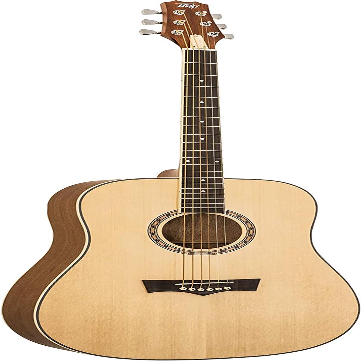 Guitarra Acstica Peavey Delta Woods DW-1 con Gigbag
