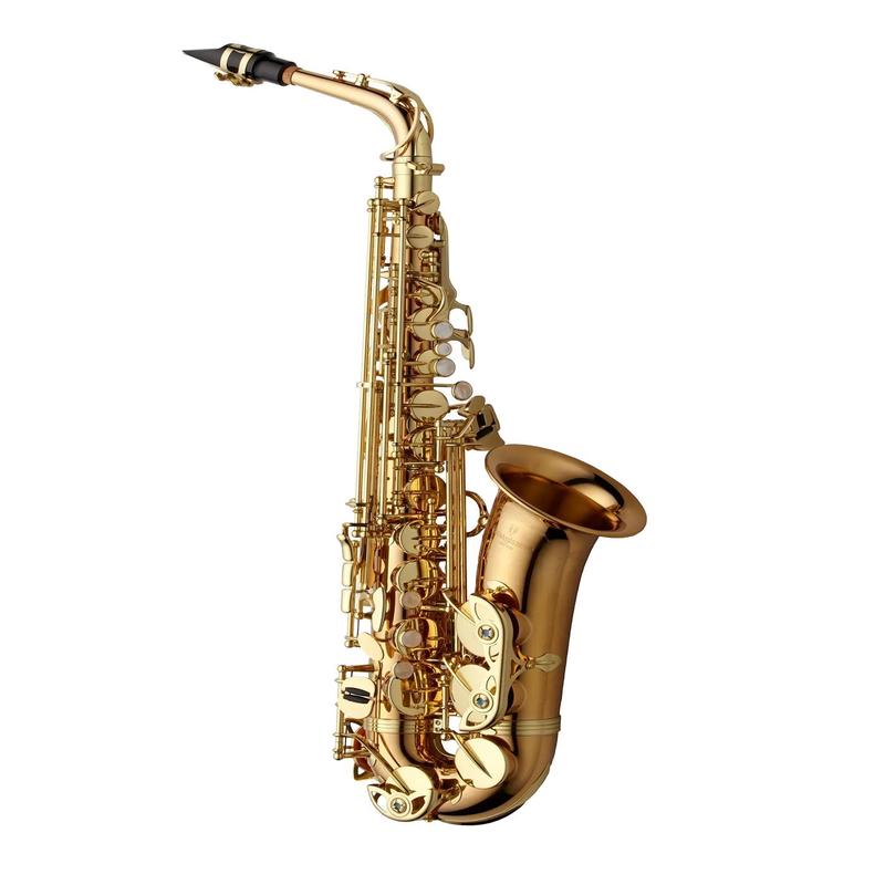 Yanagisawa AWO2 Alto Saxophone - Bronze